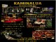 KAMINALUA（カミナルア）《レストラン》